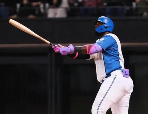 【日本ハム】レイエス、魚雷バットでリーグ単独キング１３号逆転２ラン、３３打点で２冠