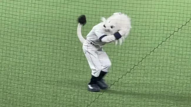 西武　球団マスコット・レオの頭部がもげるハプニング　球場騒然　３連続バック転の後、まさかの事態に