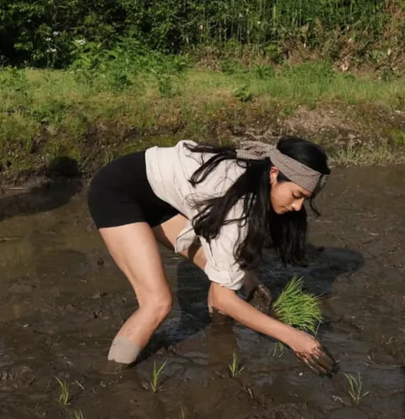【画像】ローラさん、キラキラ田植えを行い無事批判される「裸足で田植えは危ない・・・・」