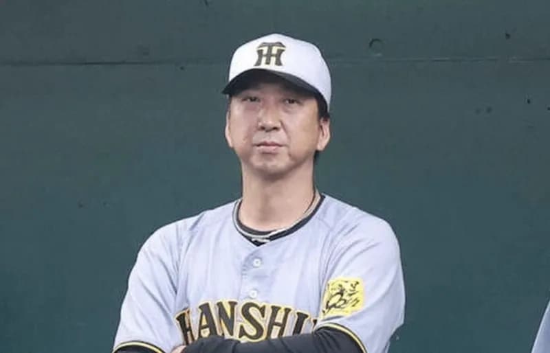 【悲報】4連敗を喫した阪神ファン、ガチで背中が悲しすぎる【画像あり】