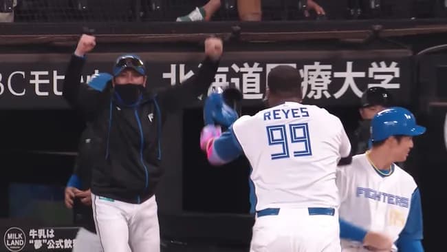 フランミル・レイエス（日）打率.279（5位）14本塁打（1位）40打点（1位）OPS.862（2位）