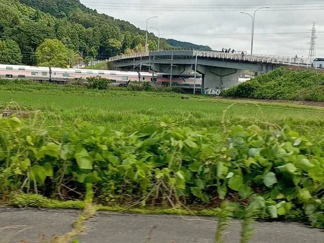 【悲報】撮り鉄さん、また電車を止めてしまう