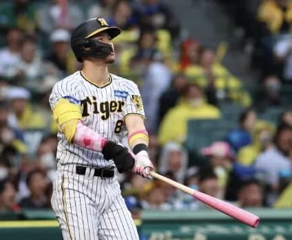 阪神ファン『(佐藤輝の)確信歩きを批判してる人はファンではない』←これ