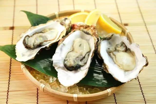 【悲報】生ガキ、どんなに高級で新鮮でもやっぱり生臭い