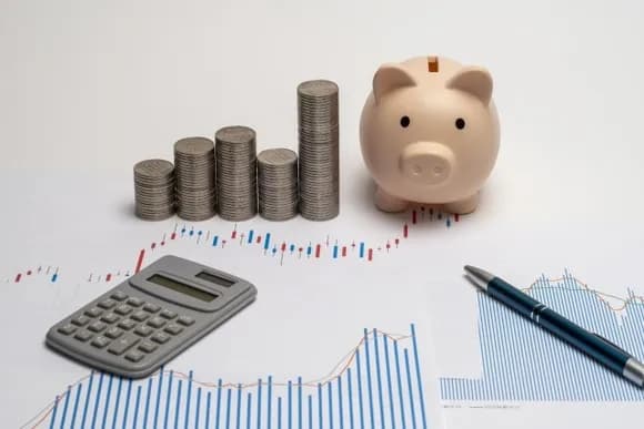 【悲報】女性投資家さん、元手250万円を7年で7億円超えにｗｗｗｗｗｗ