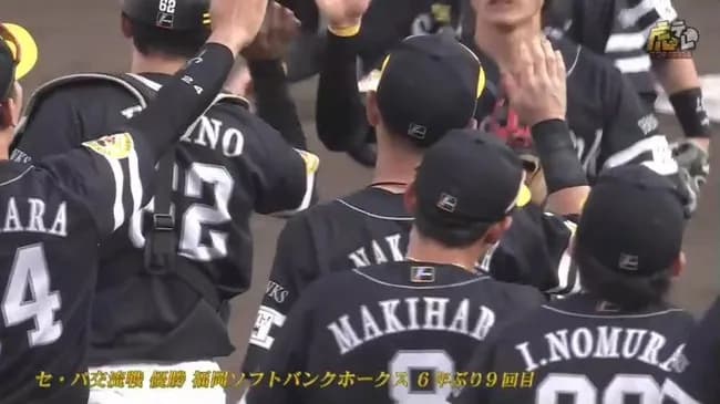 交流戦(全20回)の優勝回数wwwwwwwwwwww