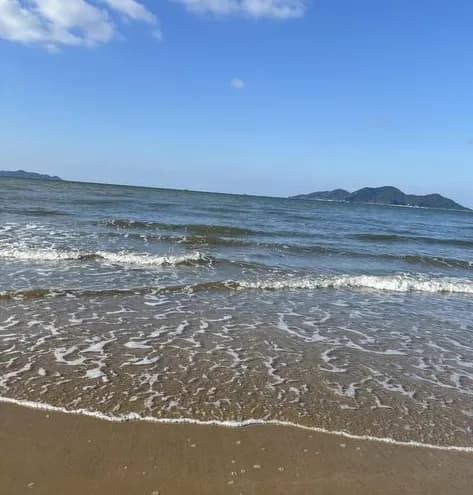 横浜民わい、福岡に住みたい