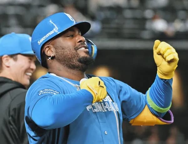 日ハムレイエスさん、インスタの投稿全削除