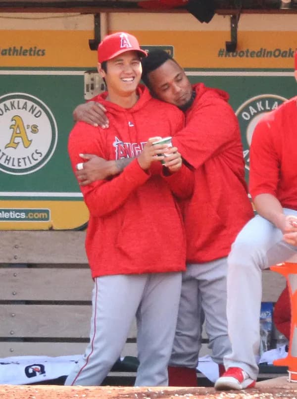 マルドナードが大谷に敵意剥き出しになった理由って何なんや？