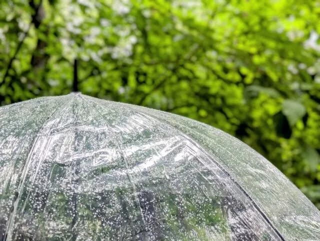 三大いつまで経っても進歩しねぇ物「傘」「カップラーメンの焼豚」