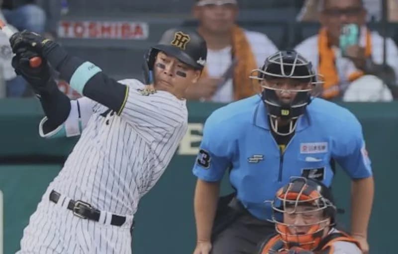 虎ファン『今週は4勝2敗だろうな』←理由がコチラ