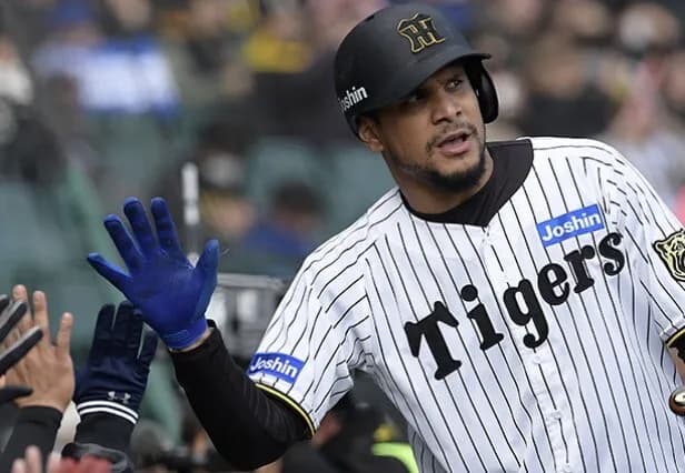 ヘルナンデス、最低限の犠牲フライで阪神同点！！！