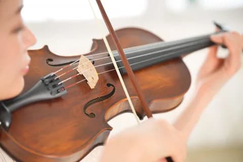 音大生、芸大生「大学卒業しても就職先がない…」←これ