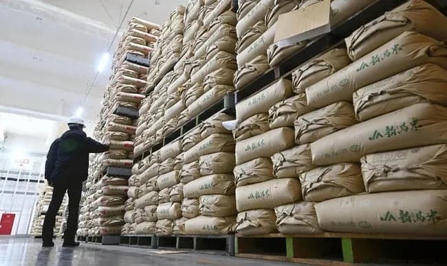 【悲報】興味本位で備蓄米を買ったものの不味すぎて速攻で炒飯専用米になる