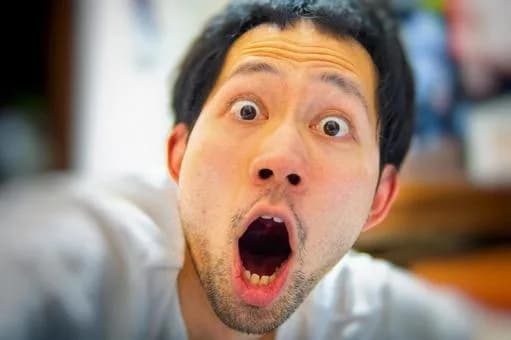 【急募】一瞬ドキッてなるけどよく見たら安全な言葉「わけぎ」「うこん」