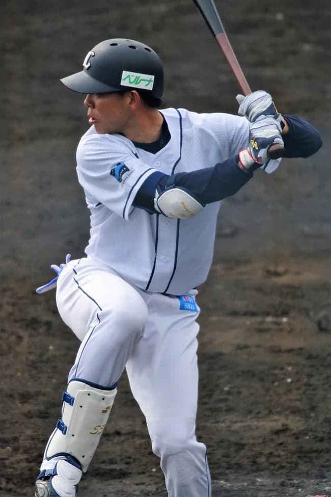 2015年「両リーグトリプルスリー！秋山216安打！日シリ山田3連発！」←うおおおおお