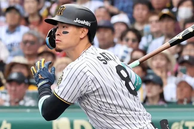 佐藤輝明(神).288 24本 62点 OPS.949 8盗塁