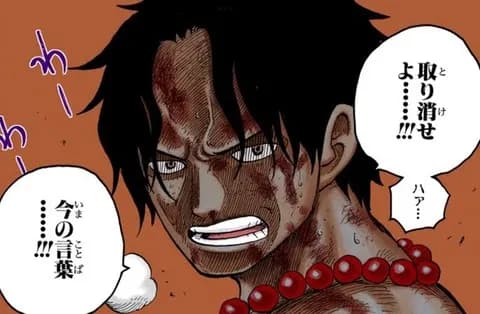 黒ひげ「ロックスの息子です」ルフィ「海軍の英雄の孫です」エース「海賊王の息子です」←コイツだけ弱い理由