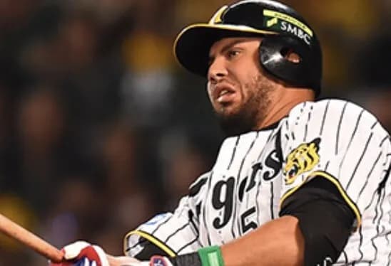 阪神、ゴメス以降優秀な外国人野手がいないことが判明