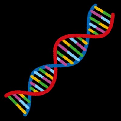 東大生って遺伝子が優秀だっただけだよな？