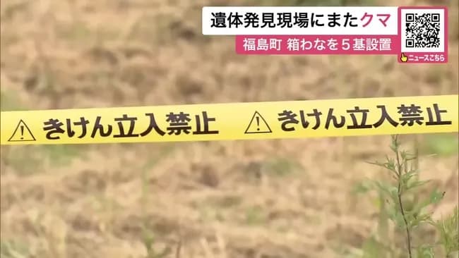 新聞配達員を襲ったヒグマ、事件現場にまた現れる