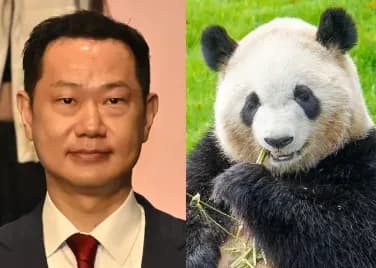 【悲報】二階俊博の息子「中国からまたパンダ借りるからワイに投票して！」ｗｗｗｗｗｗｗｗｗｗ