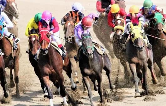 【急募】競馬を辞める方法を教えてクレメンスｗｗｗｗｗｗｗｗｗｗｗｗｗｗｗｗ
