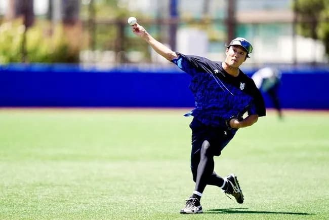 (*^◯^*)「2025年7月20日、神奈川県横須賀市夏島町の追浜公園にて藤浪晋太郎を合流させます。」