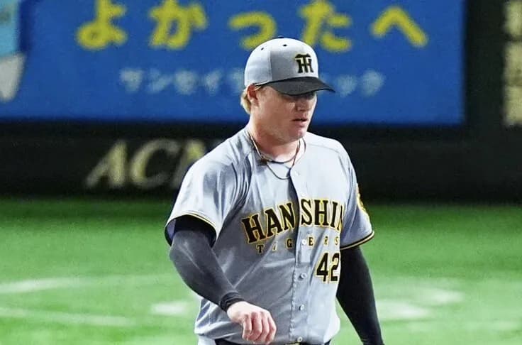 『ネルソンの球威が悪い』vs『坂本の配球(リード)が悪い』←これ