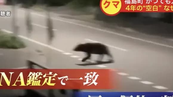【悲報】熊に食べられた新聞配達員、4日前から付け狙われていた。母親に「ナイフ装備したほうがいいかな？」