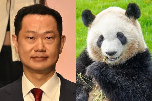 【失敗】二階家「パンダで世論操作いけるやろ」→大滑りｗｗｗｗｗｗ