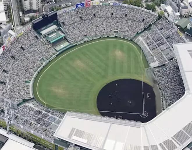 阪神（ホーム18勝16敗）←本拠地で弱い原因ってなんやろ？