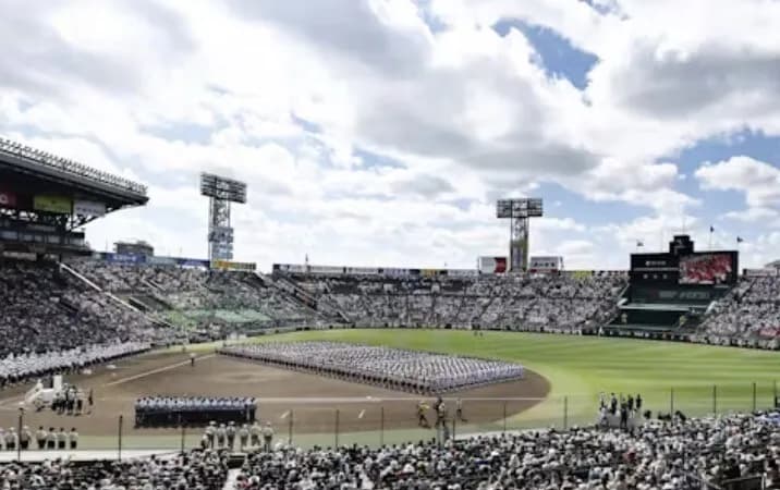 今年の甲子園、ビジター球団のホームラン7本で草。佐藤輝明は1人で7本
