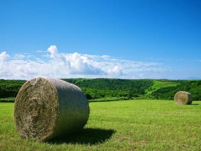 お盆休み北海道行くんだが…どこ回ろう？オススメある？