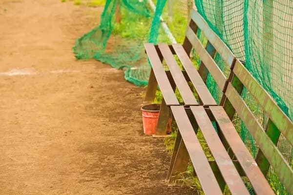 公園で野球をしてる子供ってマジでいないよな