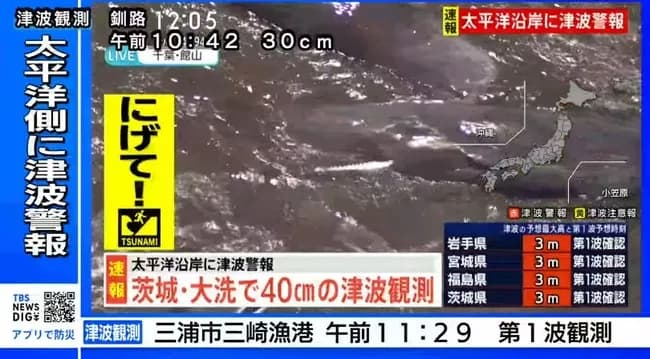 千葉・館山の海岸で複数のクジラが打ち上げられる