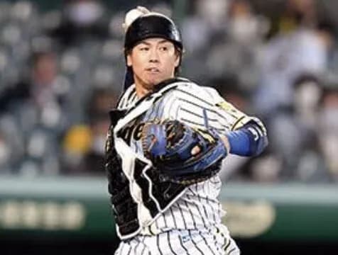 梅野は控え捕手として見たら最高の性能なんよな