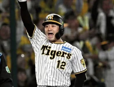 阪神、坂本誠志郎以外のキャッチャーを総評してみた結果