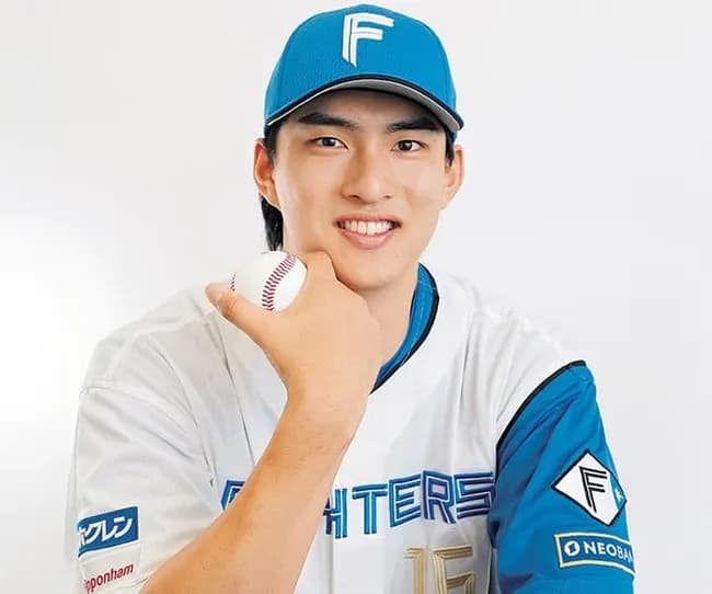 ハム達のチーム別対戦成績