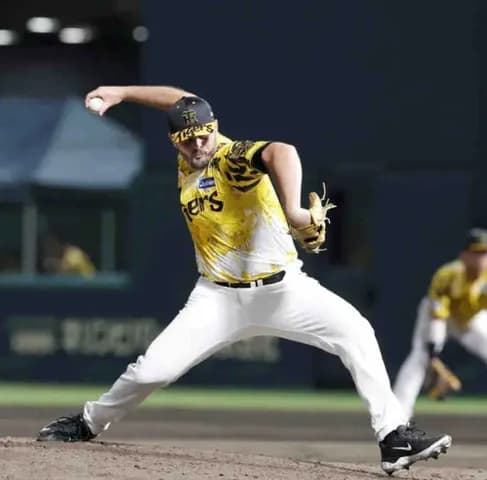 阪神・ハートウィグ衝撃！３者連続Ｋデビュー「良いピッチングができた」サイドから剛腕うなったＭＡＸ１５３キロ