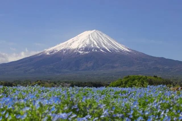 富士山(3776m)←くぉれどうやって測ったの？wwwwwwwwww