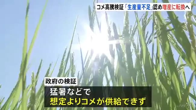 石破内閣「JAとか仲卸のせいにしてすまんwコメ足りないだけだったわw」