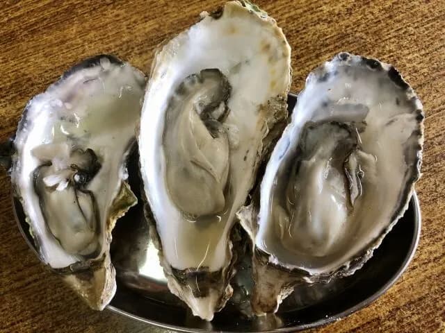 【悲報】昨日牡蠣を食べたワイの末路wwwwwww