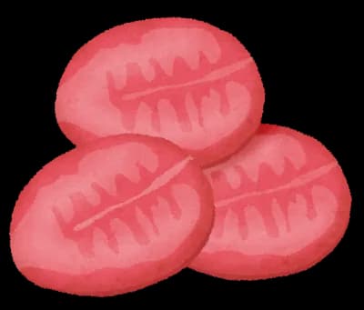 ネギタン塩の上に乗ってるネギを救う方法、ガチで存在しない…