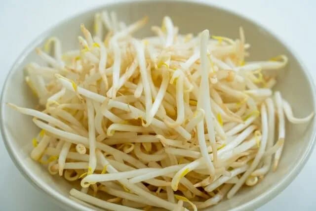 モヤシ農家ってどうやって利益出してんの？