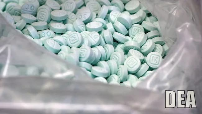 名古屋のフェンタニル密輸拠点、欧州の報道が調査して公表してしまう