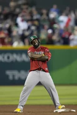 ほらもうWBCのメキシコ戦でレフトで腕組みしてた奴の名前忘れたあろ！