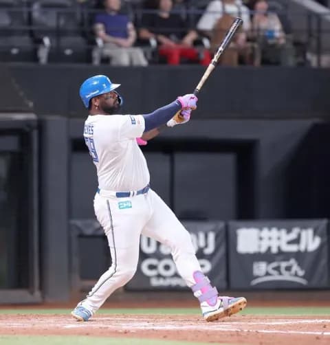 【日本ハム】レイエスが値千金の同点弾　８回２死、ロッテ種市からリーグトップ独走の22号