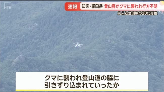 ヒグマに連れ去られた時に助かる方法