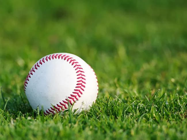 NPB「試合時間短縮の為に濡れスポ導入や！」MLB「投球間隔と打者の間隔を短くするぞ」←結果大差がつく